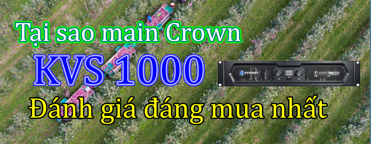 Tại sao main crown kvs 1000 đánh giá đáng mua nhất